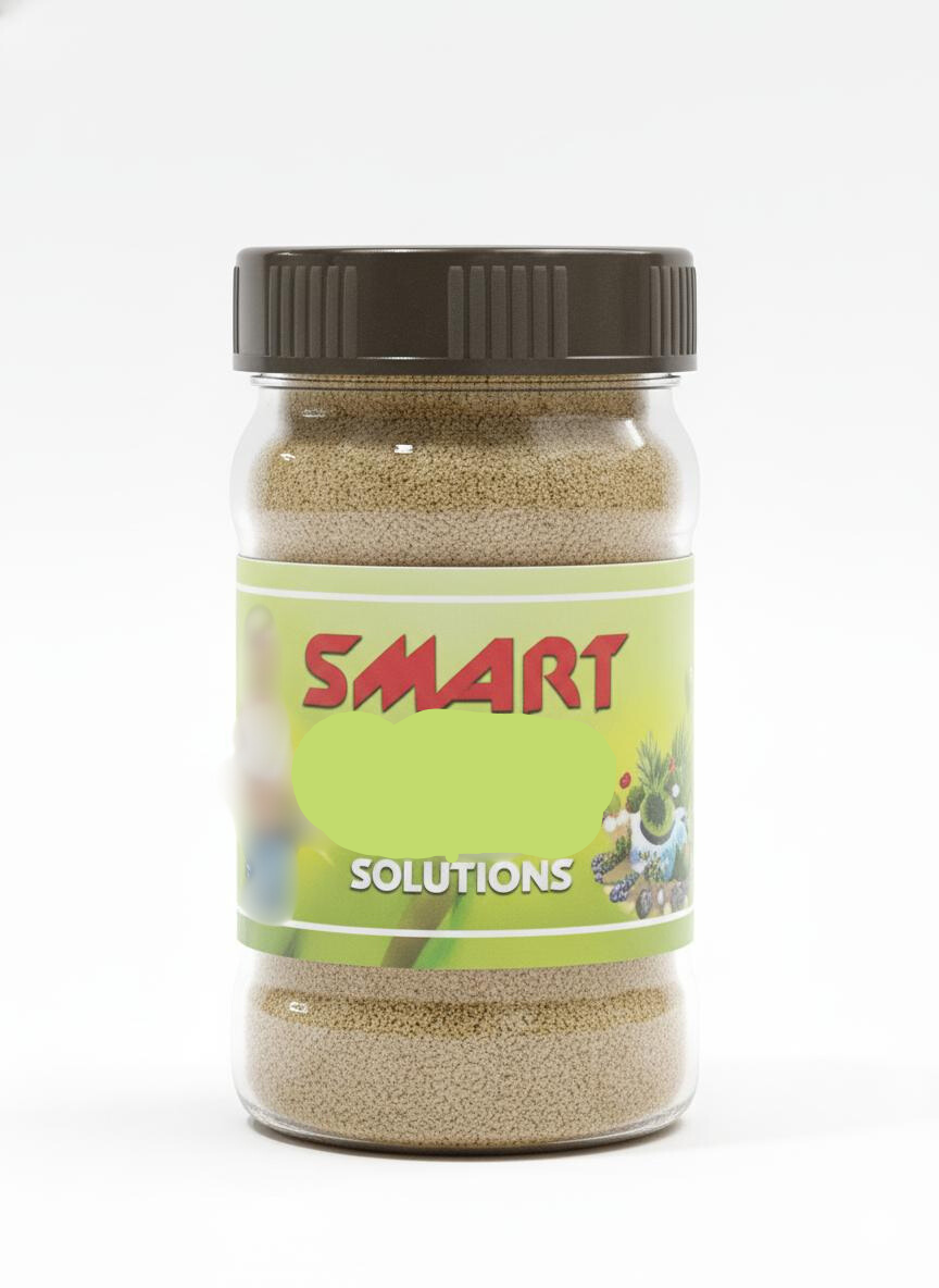 1 Month Plan Feel Light