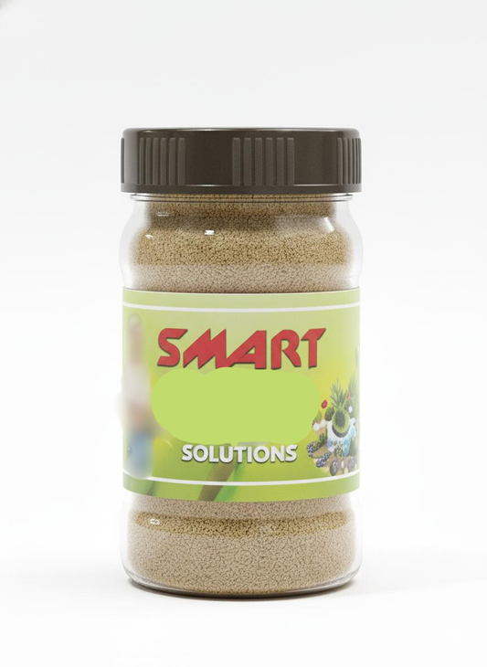 1 Month Plan Feel Light